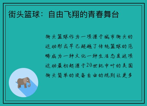 街头篮球:自由飞翔的青春舞台 街头篮球:自由飞翔的青春舞台