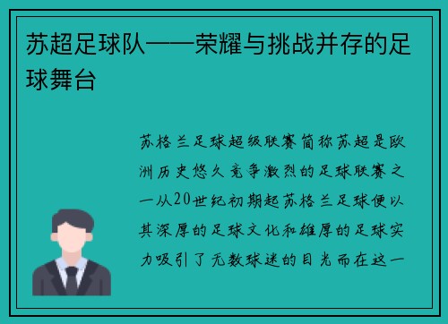 苏超足球队——荣耀与挑战并存的足球舞台
